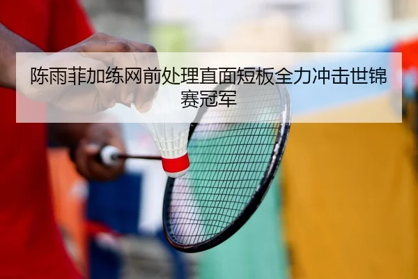 陈雨菲加练网前处理直面短板全力冲击世锦赛冠军
