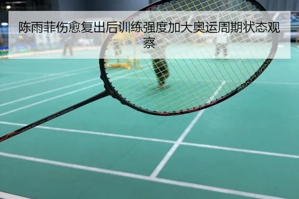 陈雨菲伤愈复出后训练强度加大奥运周期状态观察